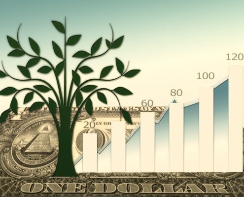 grow-business-environmental-protection-886673_960_720