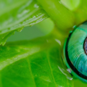 startup pitch contest - Venture Madness - Invest Southwest