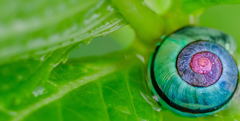 startup pitch contest - Venture Madness - Invest Southwest